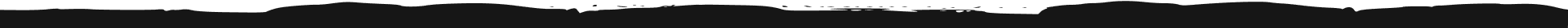 thin black horizontal strip