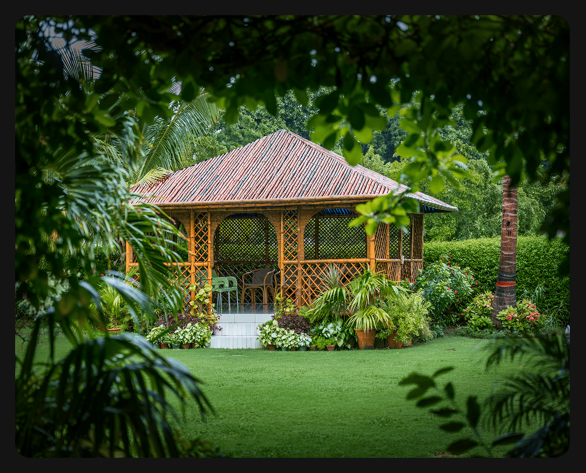 Bamboo gazebo in tropical garden setting