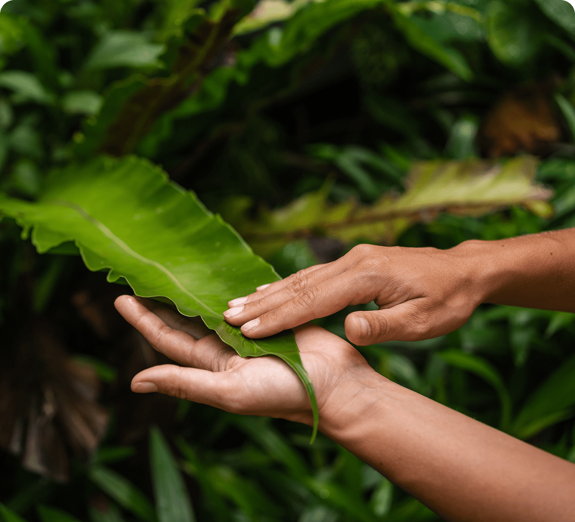 Touching nature with care