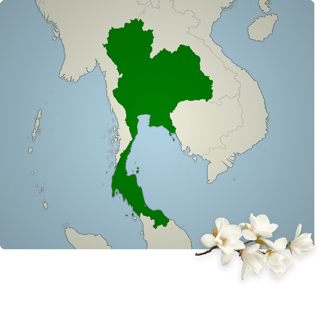 Green map of Thailand with white flowers