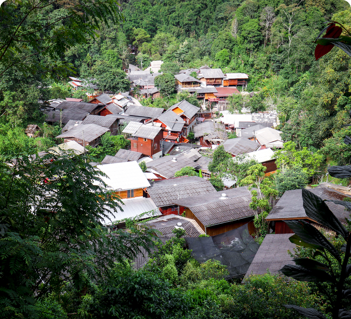Traditional houses nestled in forested area