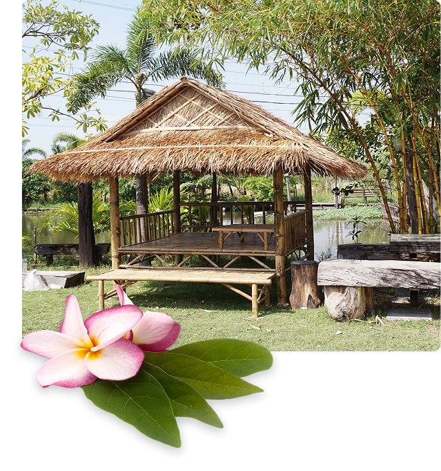 Thatched bamboo gazebo by pond with plumeria