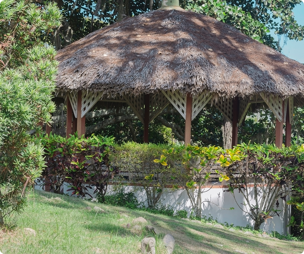 Thatched-roof gazebo surrounded by greenery